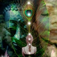 Carolyn Quan-Ascension