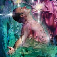 Carolyn Quan-G Transcendence