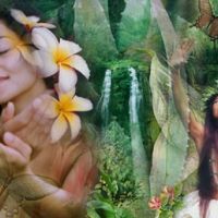 Carolyn Quan-G.HealingGarden