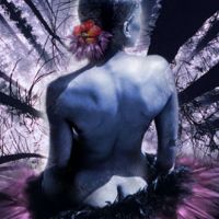 Carolyn Quan-G.Indigo