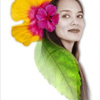 Carolyn Quan-G.Lindaflower