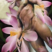 Carolyn Quan-G.Lotusadonis