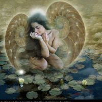 Carolyn Quan-G.Memories.of.You