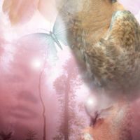 Carolyn Quan-G.Peaceful.Passage