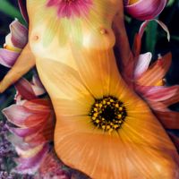 Carolyn Quan-G.Seasons.Spring