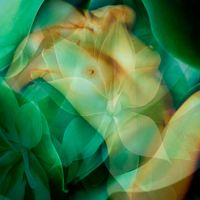 Carolyn Quan-G.Seasons.Summer