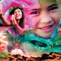 Carolyn Quan-G.Smilesofaloha