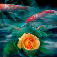 Carolyn Quan-G.Spirit.of.the.Heart