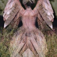 Carolyn Quan-G.Vicangel