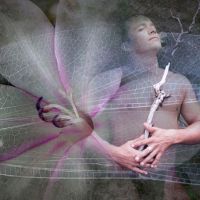 Carolyn Quan-G.Wings.of.A.Dream