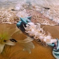Carolyn Quan-G.Wki Fragrant.Memories