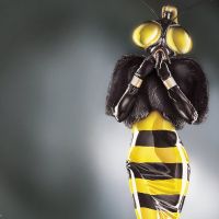 Chio Maisriml-Wasp 1600x1200