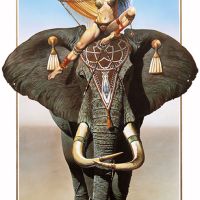 Elephant Walk