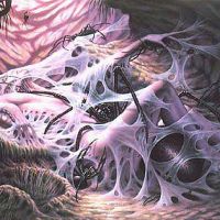 Birth of the Aracne