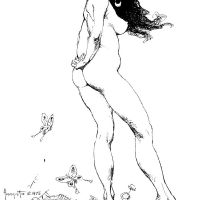 bw 034