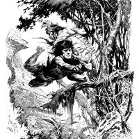 bw Apeman