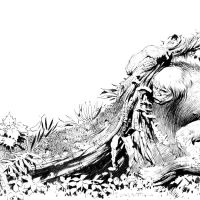 bw Beauty and the Beast II