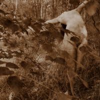 Henryk Mrejzek-04 20120104 1937205325