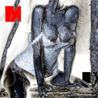 Cheval d Arson