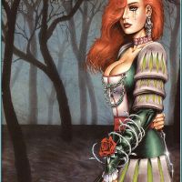 Joseph Michael Linsner-Joseph Michael Linsner - the Forest