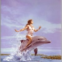Dolphin Dreams