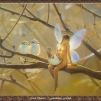 Kirk Reinert-Kirk Reinert - Feathered Friends