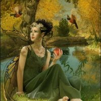 Songs Under the Apple Tree