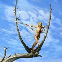 End of Nature V