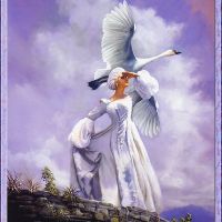 Nicholas Jainschigg-Nicholas Jainschigg - Wild Swan