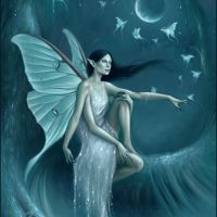 Luna Moth