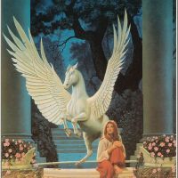 Stephen Youll-Stephen Youll - the Man Who Stayed Behind