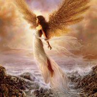 Vision of Beauty